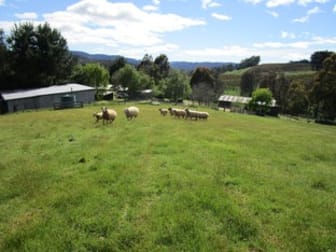 92 Cradle Mountain Road Wilmot TAS 7310 - Image 2