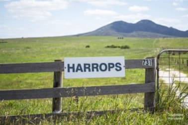 731 Lady Barron Road Ranga TAS 7255 - Image 1