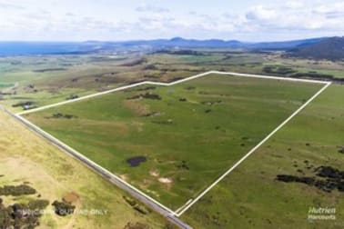 731 Lady Barron Road Ranga TAS 7255 - Image 2