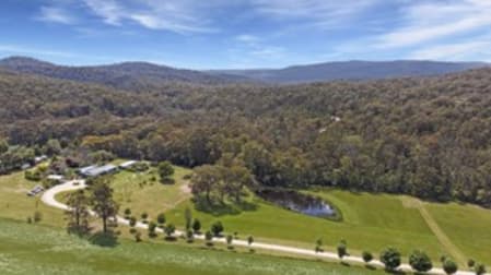 370 Back Creek Road Nethercote NSW 2549 - Image 1