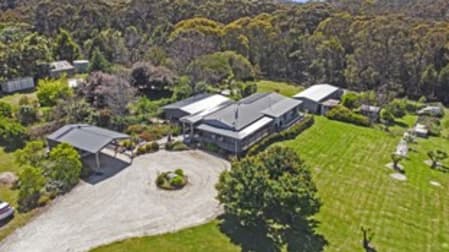 370 Back Creek Road Nethercote NSW 2549 - Image 3