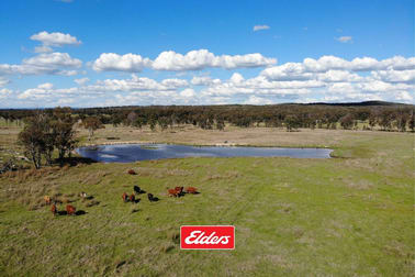 13194 GUYRA ROAD Tingha NSW 2369 - Image 1