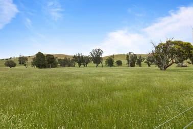 ' Glendhu Hills ' Spring Flat Road Crowlands VIC 3377 - Image 2