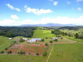 343 Gadaloff Road Butchers Creek QLD 4885 - Image 1
