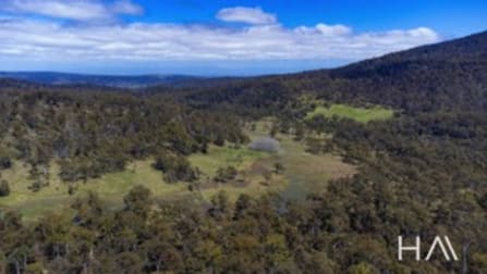 Bona Vista Storeys Creek Road Avoca TAS 7213 - Image 1