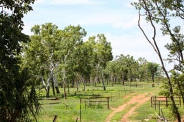 Lot 6905 Beasley Road Katherine NT 0850 - Image 2