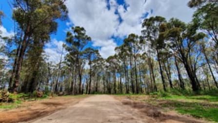 Lot D/650 Yankees Gap Road Bemboka NSW 2550 - Image 2