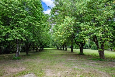 456 Warrakin Road Japoonvale QLD 4856 - Image 3