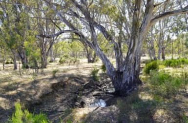 165 Raglus Road Redcastle VIC 3523 - Image 3
