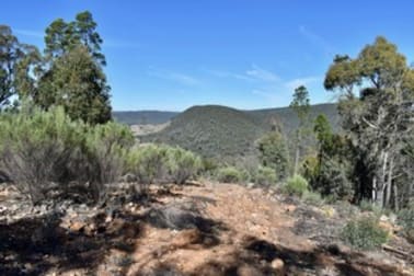 Gooloogong NSW 2805 - Image 1
