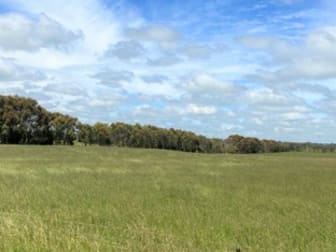 - Gores Road Ecklin South VIC 3265 - Image 3