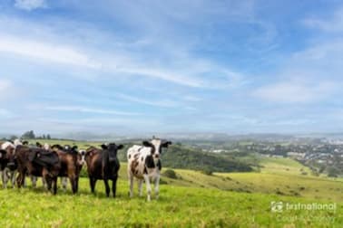 164a Princes Highway Kiama Heights NSW 2533 - Image 3