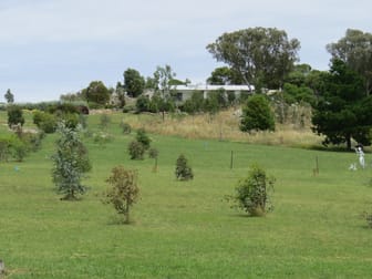 1179 Pine Mount Road Woodstock NSW 2793 - Image 1
