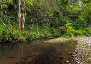 1413 Mooral Creek Road Mooral Creek NSW 2429 - Image 2