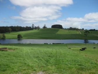 99 Lottah Road Natone TAS 7321 - Image 3