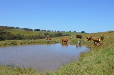 355 Woorarra Road Welshpool VIC 3966 - Image 2