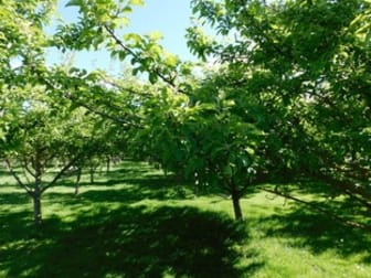 Marshalls Lane Blayney NSW 2799 - Image 3