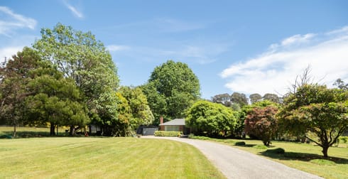 159 Manby Road Narbethong VIC 3778 - Image 2