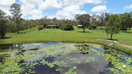 272 Taunton Road Euleilah QLD 4674 - Image 2