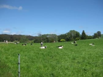 139 Fabers Road Riana TAS 7316 - Image 1