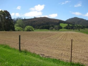 139 Fabers Road Riana TAS 7316 - Image 2