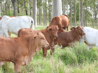 Click to view all images Rathdowney QLD 4287 - Image 1