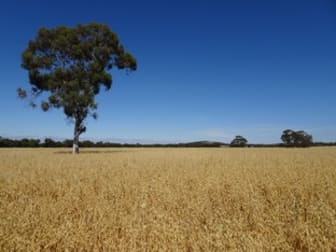 Lot 11 Yilliminning Road Boundain WA 6312 - Image 1