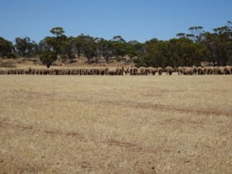 Lot 11 Yilliminning Road Boundain WA 6312 - Image 2