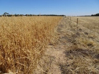 Lot 11 Yilliminning Road Boundain WA 6312 - Image 3
