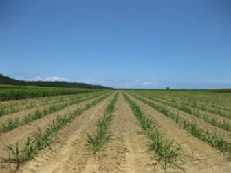 Mccutcheon QLD 4856 - Image 1