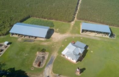 Mccutcheon QLD 4856 - Image 3