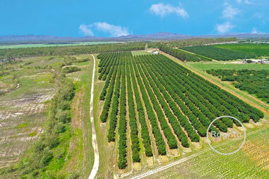 Mareeba QLD 4880 - Image 3