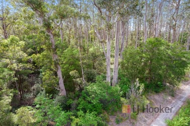 236 Guernsey Gully Road Northcliffe WA 6262 - Image 1