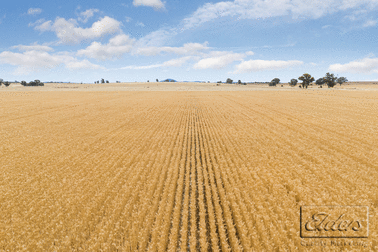 Lot 1 Wedderburn-Serpentine Road Salisbury West VIC 3517 - Image 2