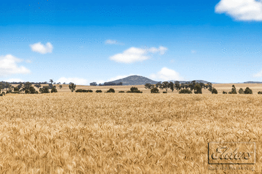 Lot 1 Wedderburn-Serpentine Road Salisbury West VIC 3517 - Image 3