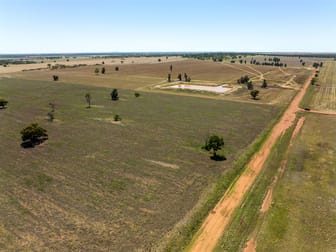 PT GOODENOUGH 716 Acres Ungarie NSW 2669 - Image 1