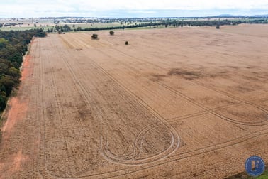 893 Deaths Lane Grenfell NSW 2810 - Image 1