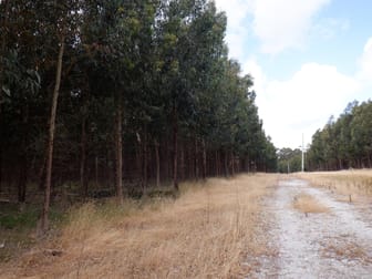 Lot 9026 Holiwell Road Northcliffe WA 6262 - Image 3