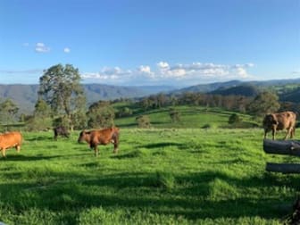 Lot 2 Timbarra Road Tenterfield NSW 2372 - Image 3