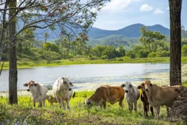 Click to view all images 471 Olletts Road Habana QLD 4740 - Image 1