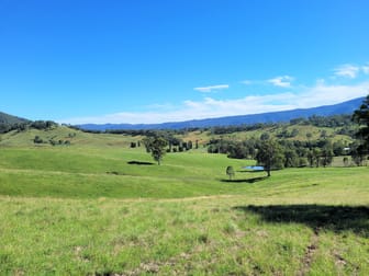552 Neringla Road Neringla NSW 2622 - Image 3