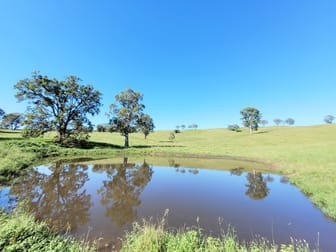 Lot 3 Neringla Road Neringla NSW 2622 - Image 2