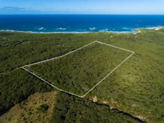 Lot 1 South Road Nugara TAS 7256 - Image 1