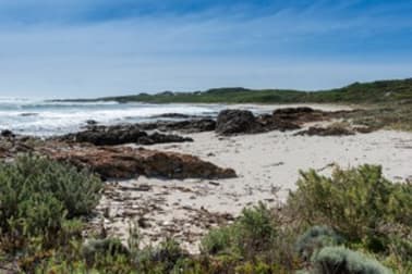 Lot 1 South Road Nugara TAS 7256 - Image 2