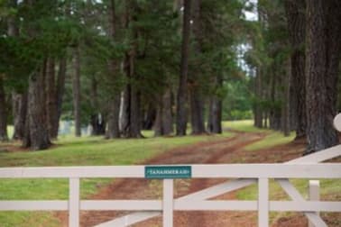 Click to view all images 120 Martins Road Wingello NSW 2579 - Image 1