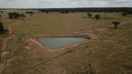 278 WHETSTONE ACCESS ROAD Whetstone QLD 4387 - Image 3