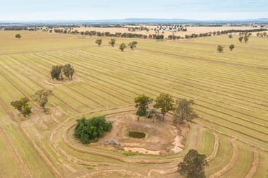 'Rugby'/8 Schlenkers Rd Henty NSW 2658 - Image 3