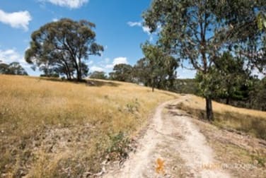 67 Minto Road Flowerdale VIC 3717 - Image 2