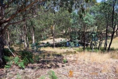 67 Minto Road Flowerdale VIC 3717 - Image 3