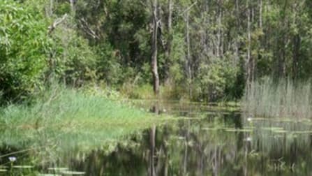 Lot 212 Clearfield Road Rappville NSW 2469 - Image 3
